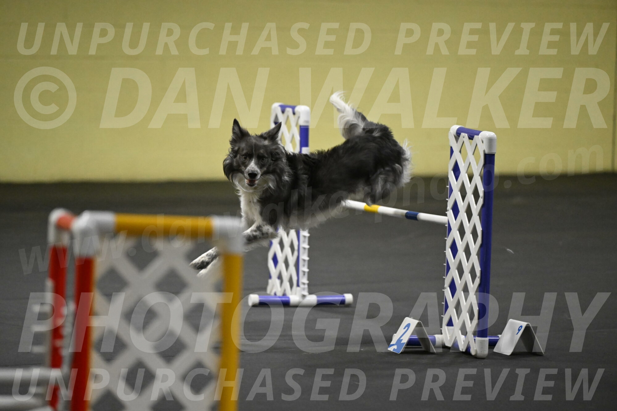 Grindylow-Rachow-04079