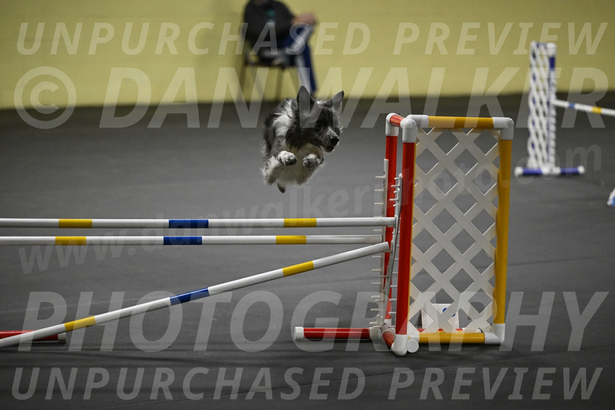 Grindylow-Rachow-04083