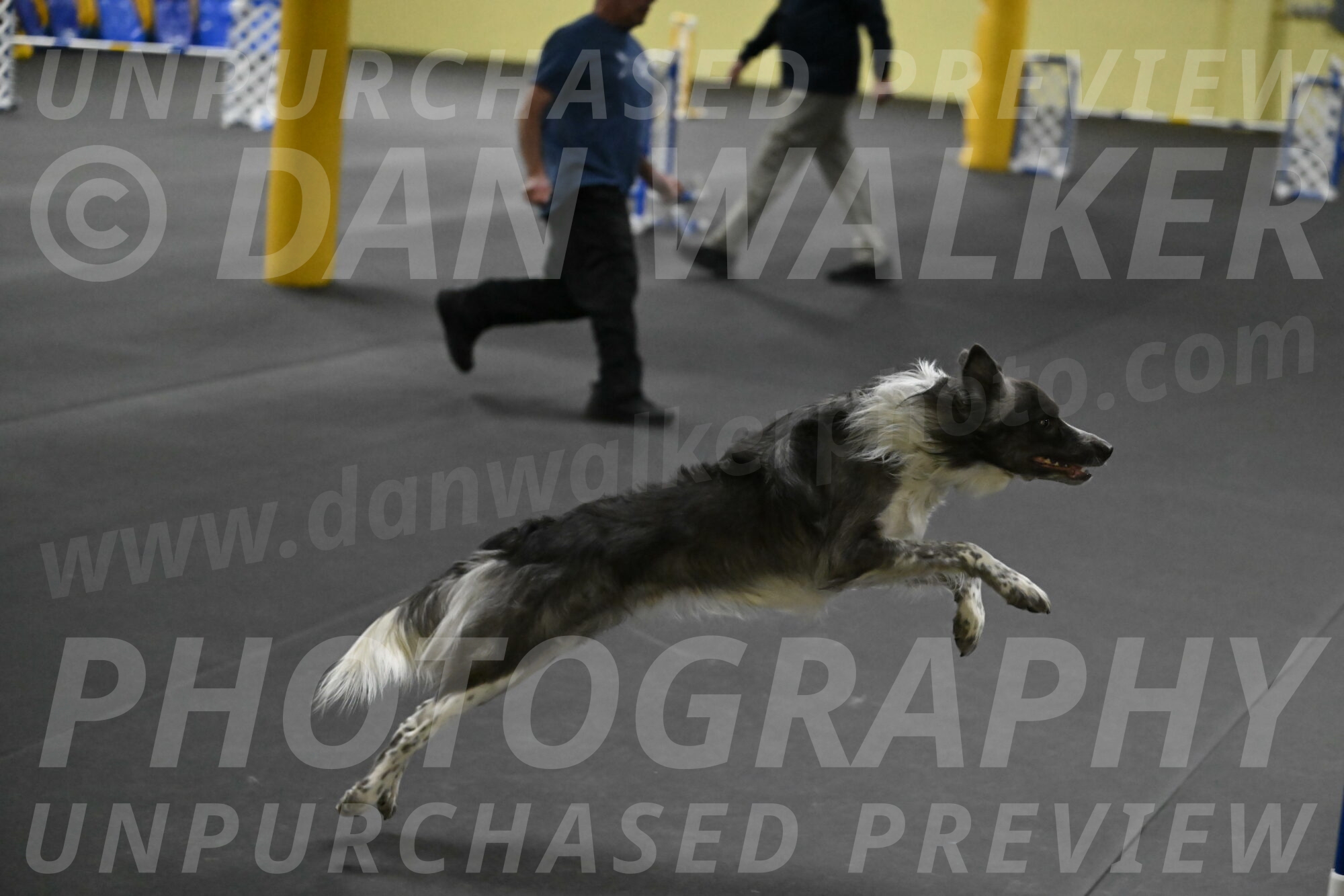 Grindylow-Rachow-04086