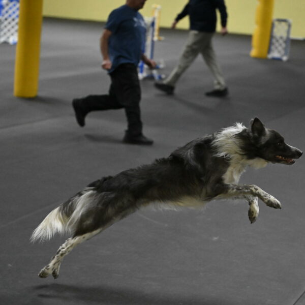 Grindylow-Rachow-04086