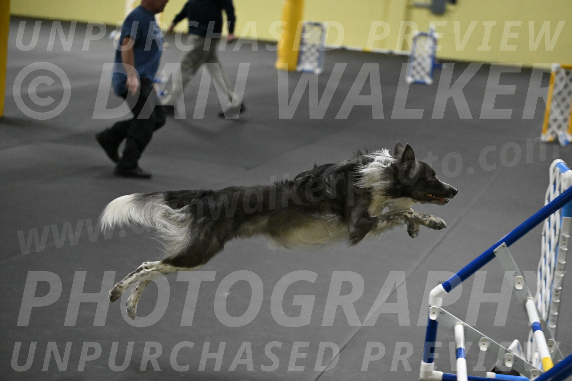 Grindylow-Rachow-04087