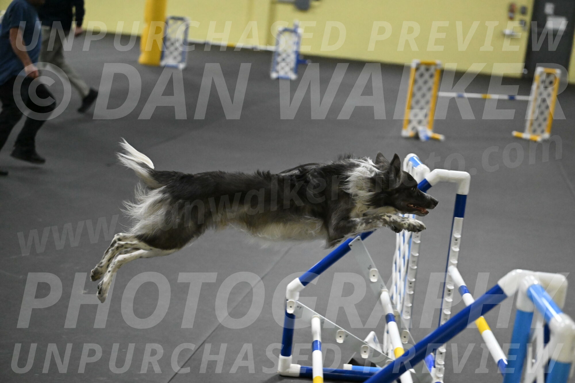 Grindylow-Rachow-04088