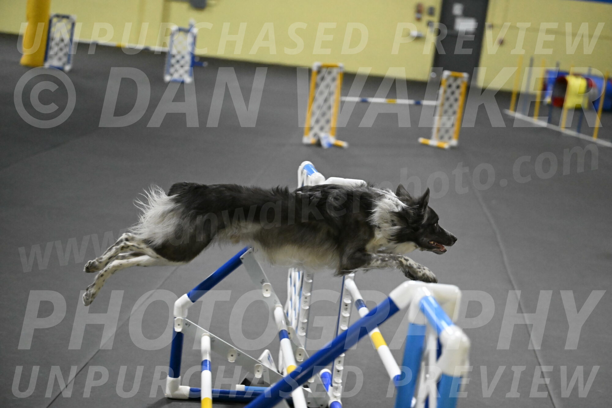 Grindylow-Rachow-04089