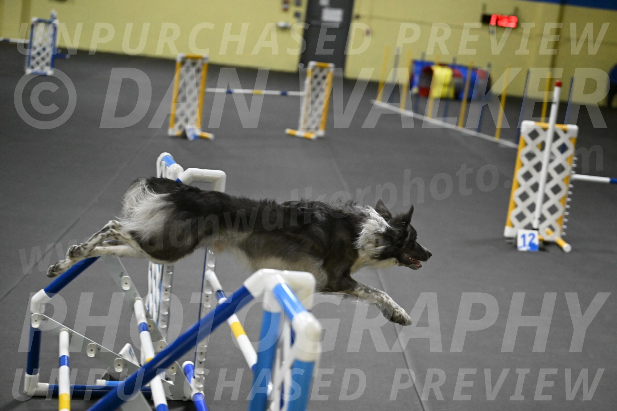 Grindylow-Rachow-04090