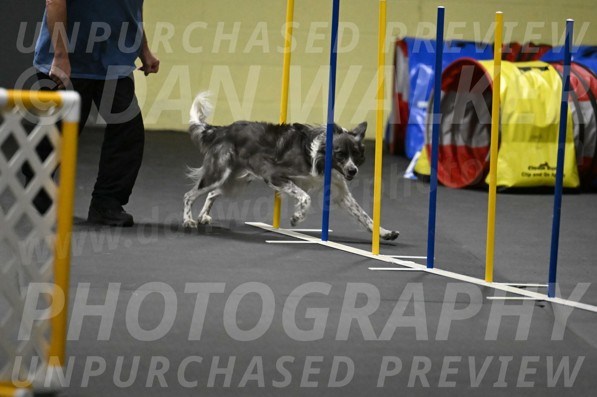 Grindylow-Rachow-04091