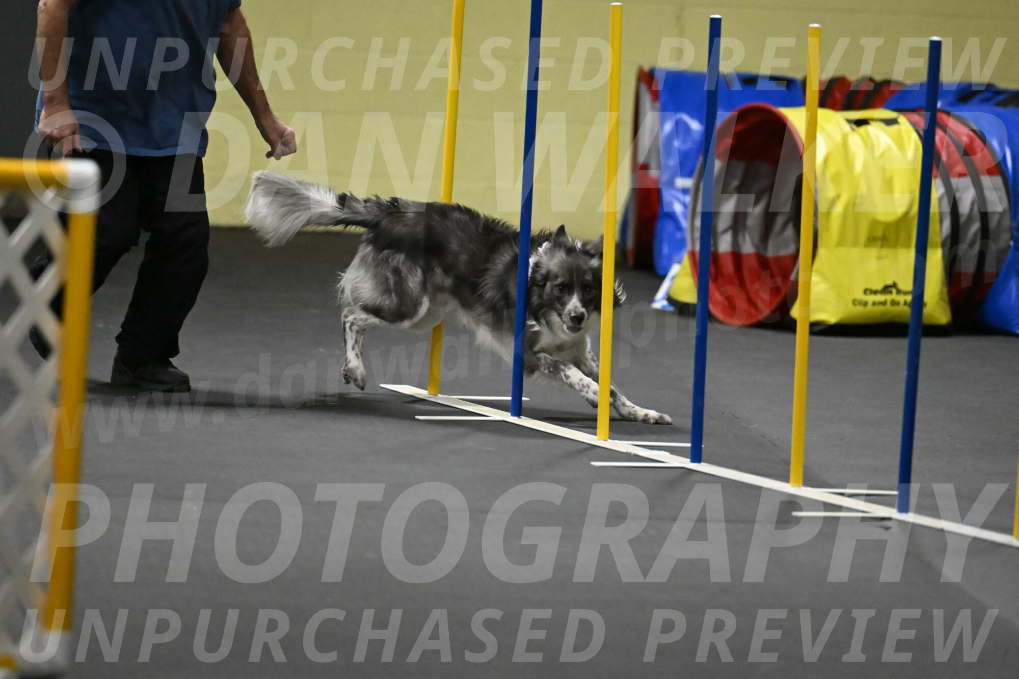 Grindylow-Rachow-04092