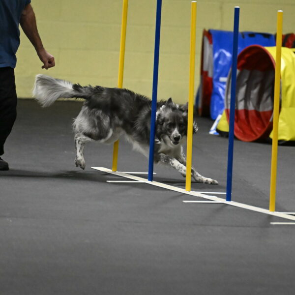 Grindylow-Rachow-04092