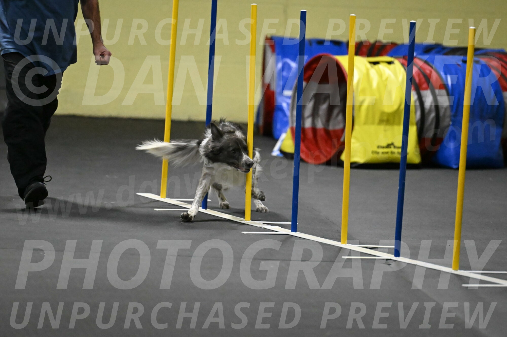 Grindylow-Rachow-04094