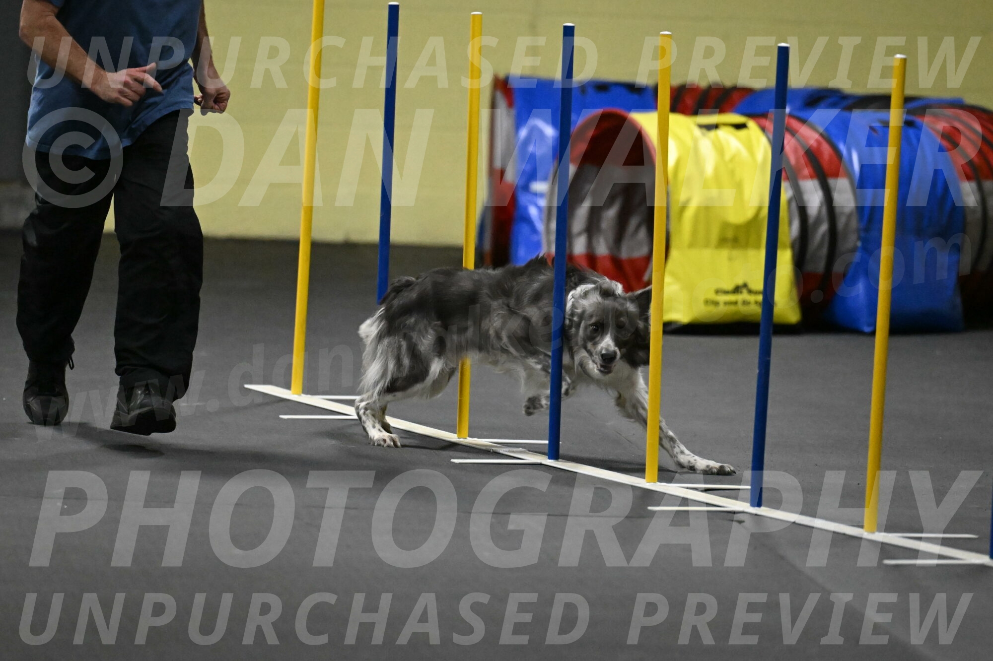 Grindylow-Rachow-04097