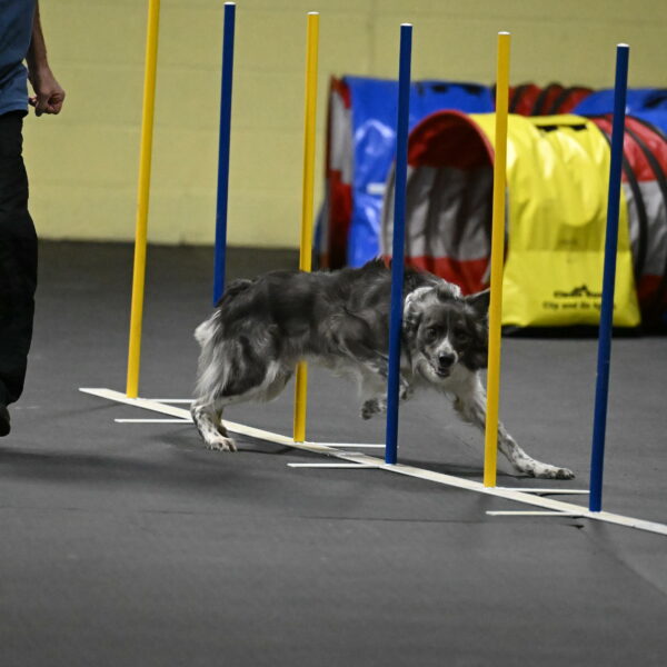 Grindylow-Rachow-04097