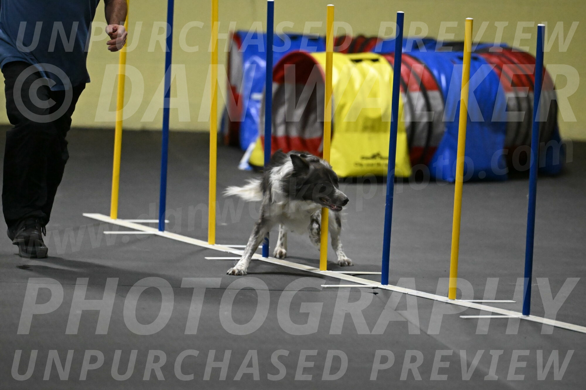 Grindylow-Rachow-04100