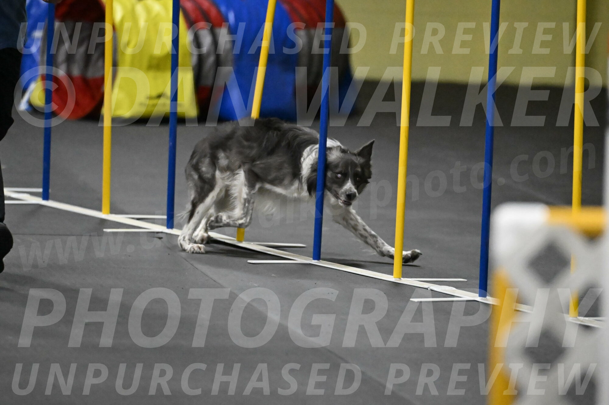 Grindylow-Rachow-04108