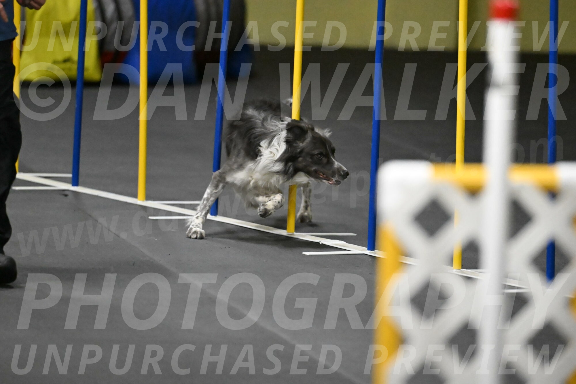 Grindylow-Rachow-04112