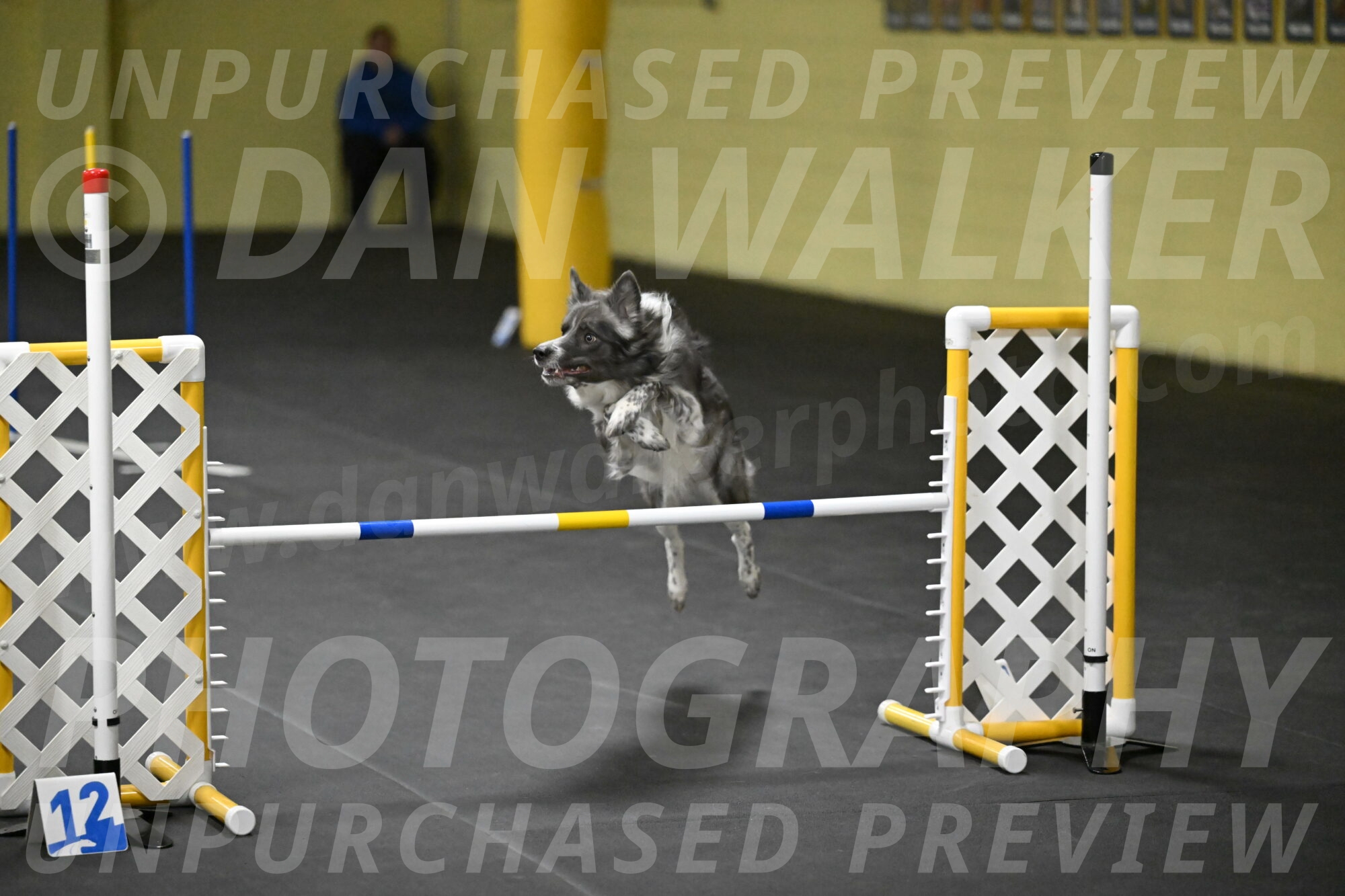 Grindylow-Rachow-04115