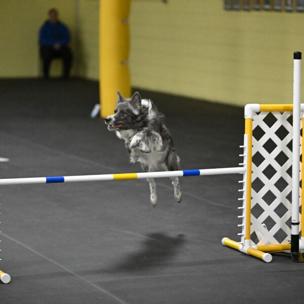 Grindylow-Rachow-04115