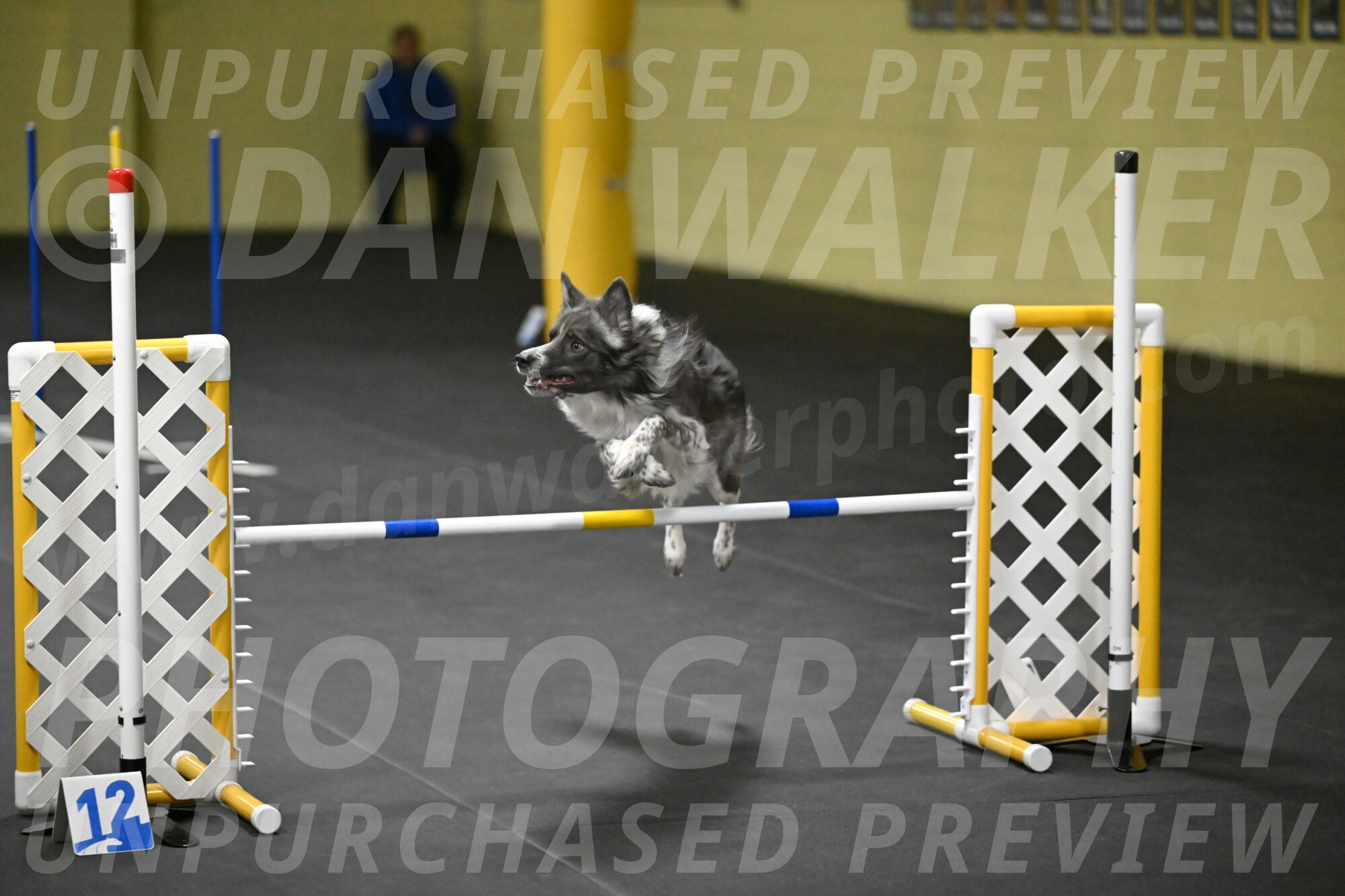 Grindylow-Rachow-04116