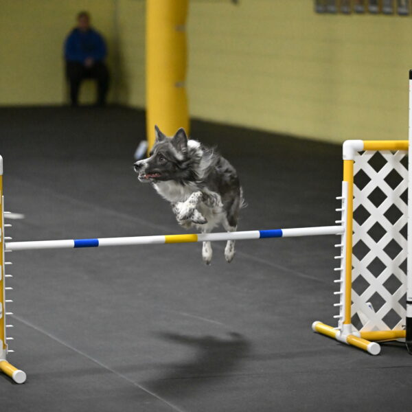 Grindylow-Rachow-04116