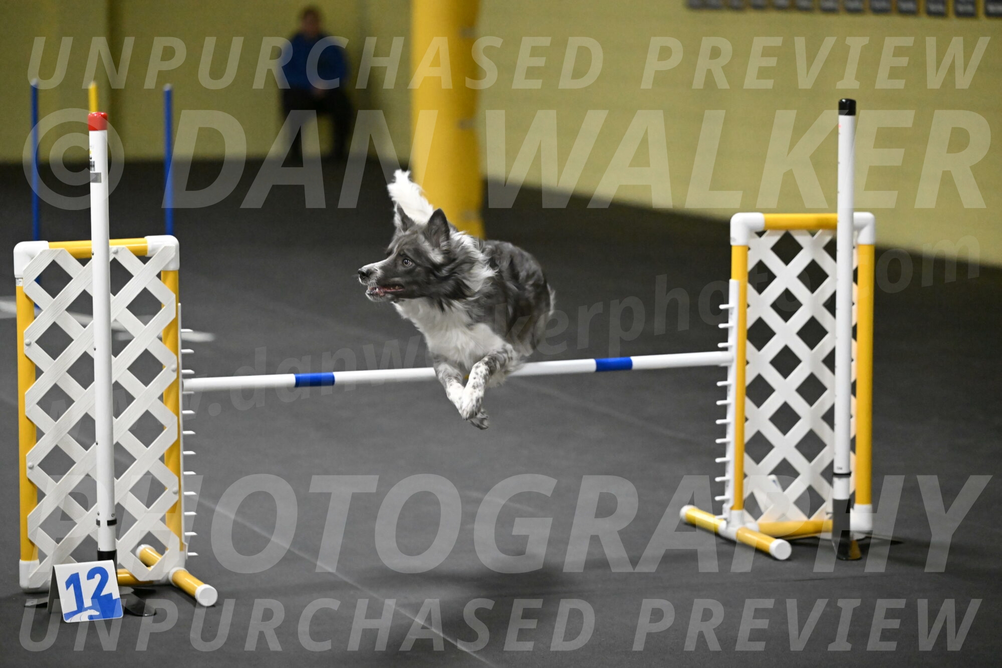 Grindylow-Rachow-04117