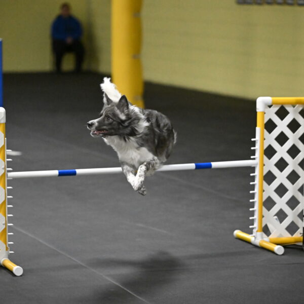 Grindylow-Rachow-04117