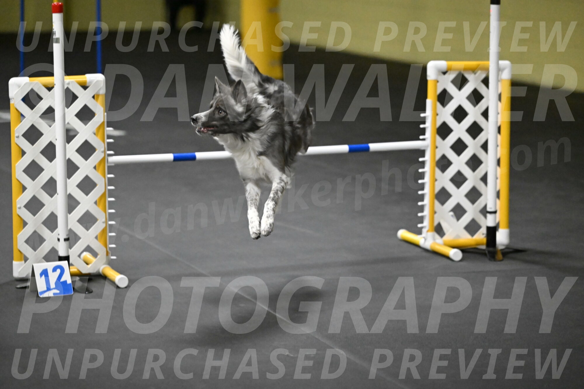 Grindylow-Rachow-04118