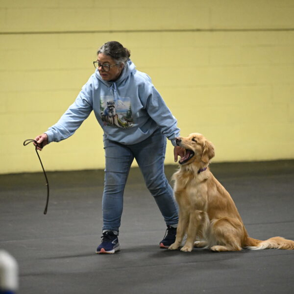 Holli-Likevich-03231