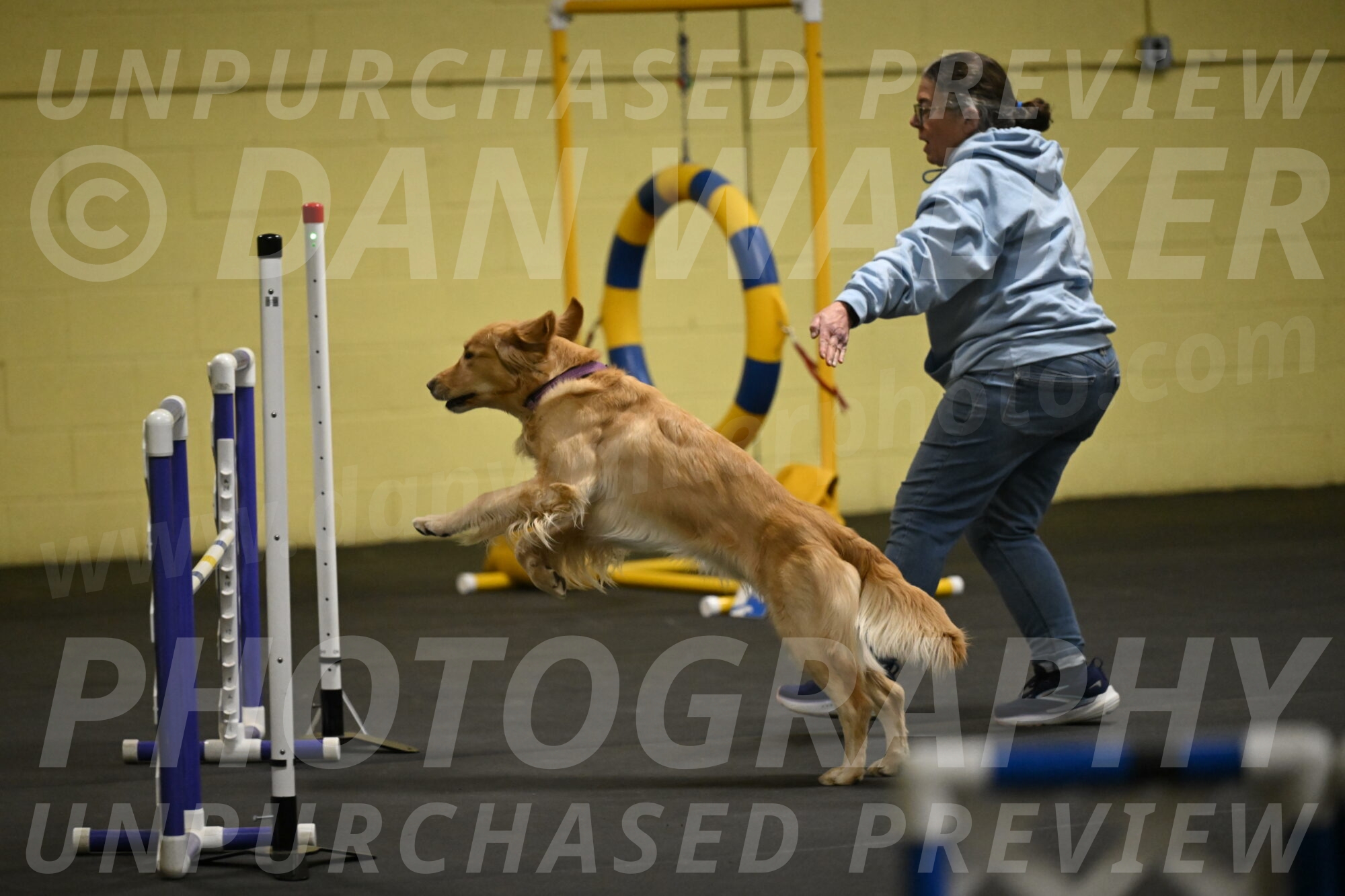 Holli-Likevich-03237