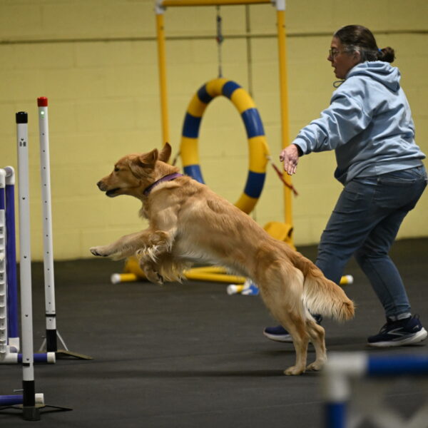 Holli-Likevich-03237