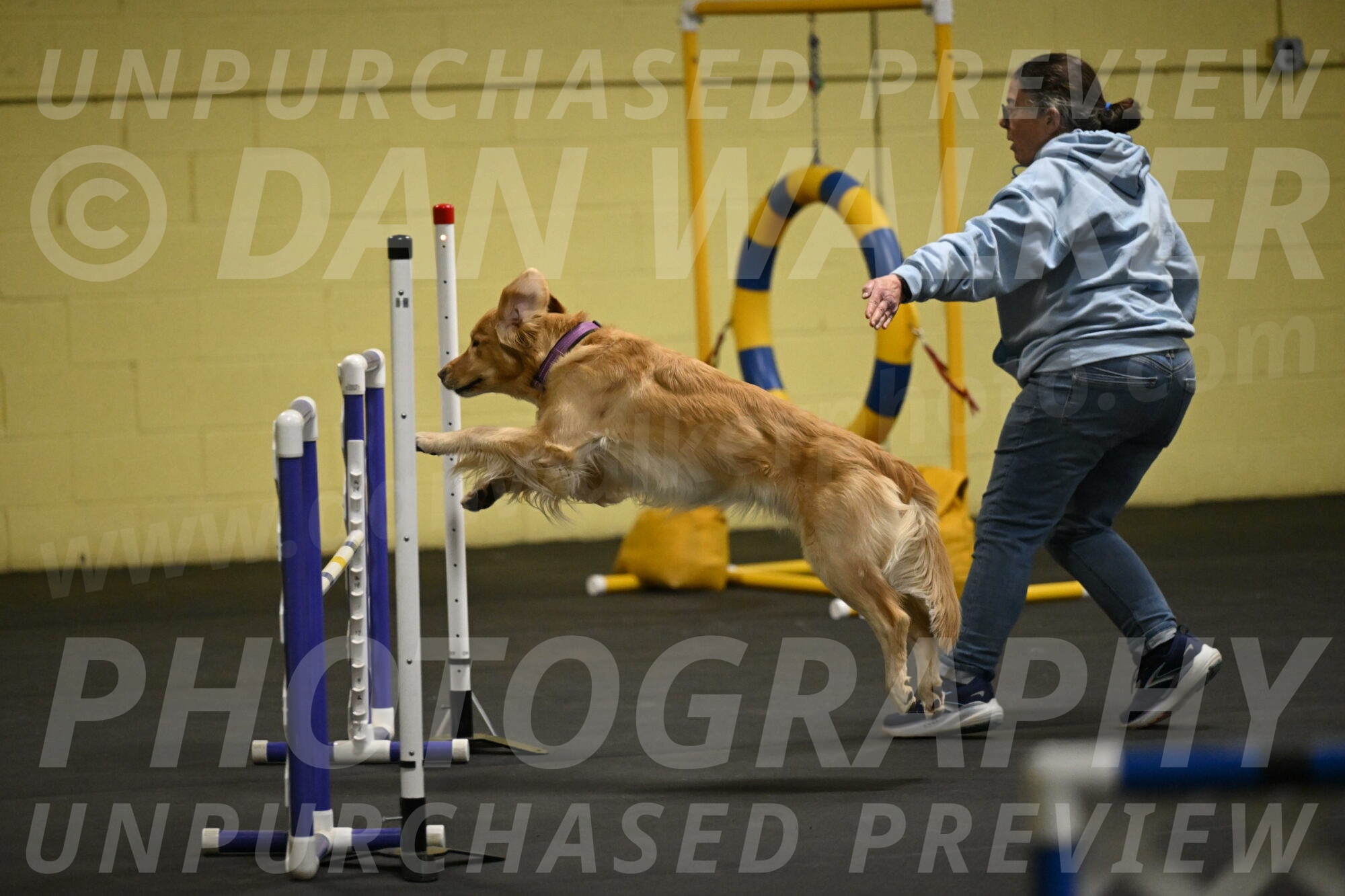 Holli-Likevich-03238