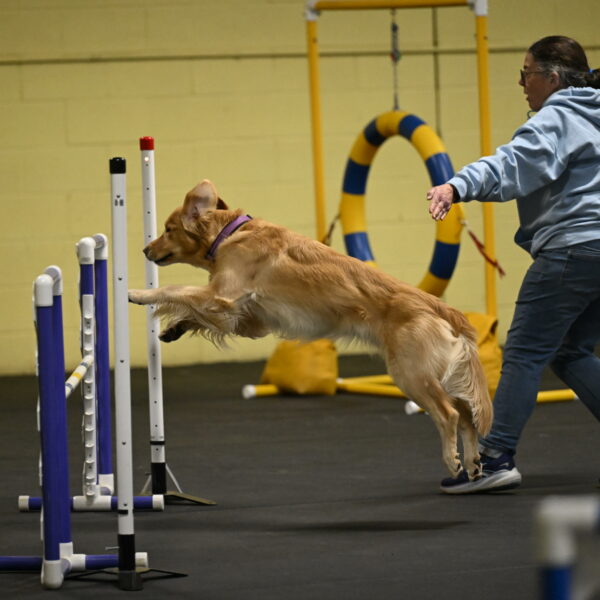 Holli-Likevich-03238