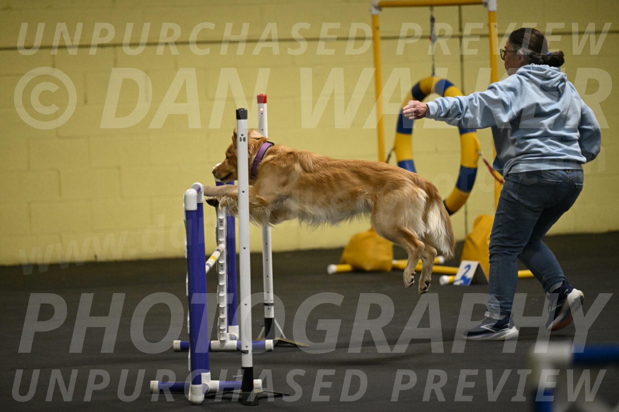 Holli-Likevich-03239