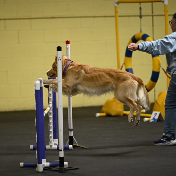 Holli-Likevich-03239