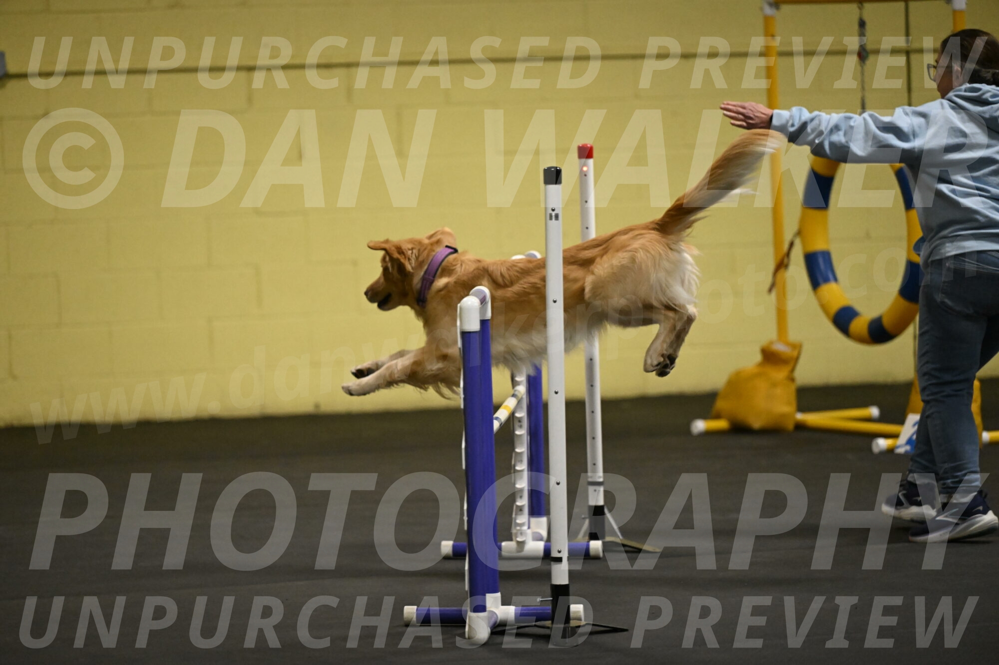 Holli-Likevich-03241