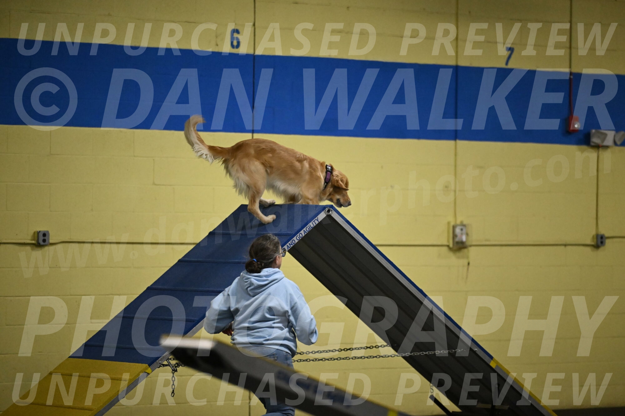 Holli-Likevich-03244