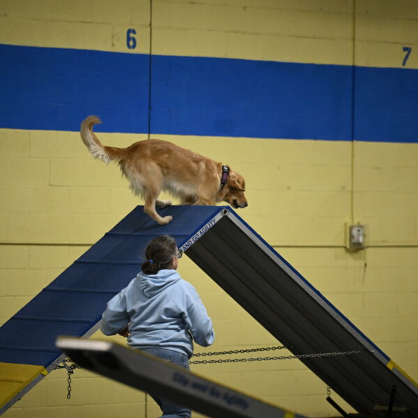 Holli-Likevich-03244