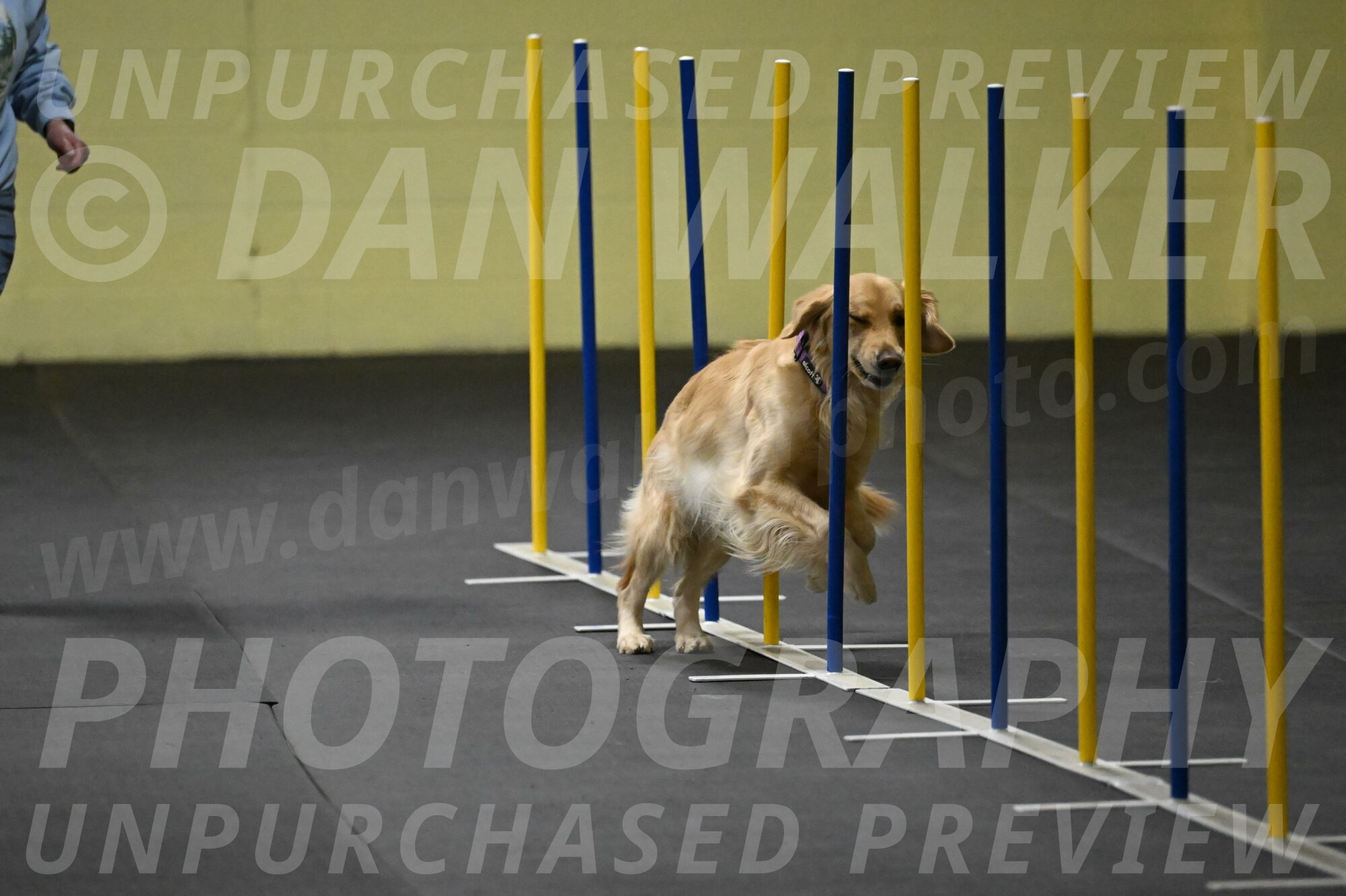 Holli-Likevich-03271