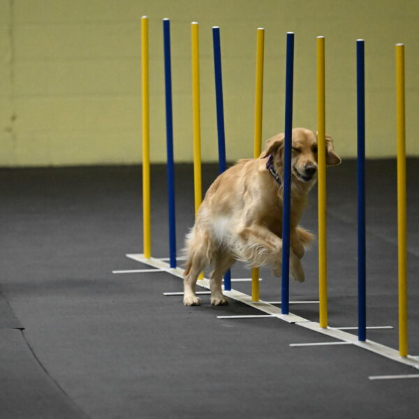 Holli-Likevich-03271