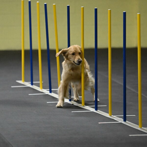 Holli-Likevich-03275