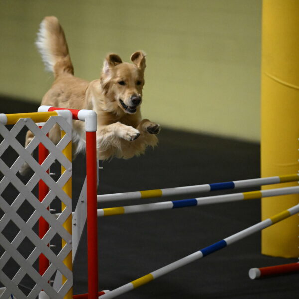 Holli-Likevich-03299