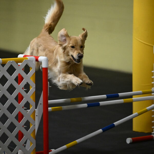 Holli-Likevich-03300