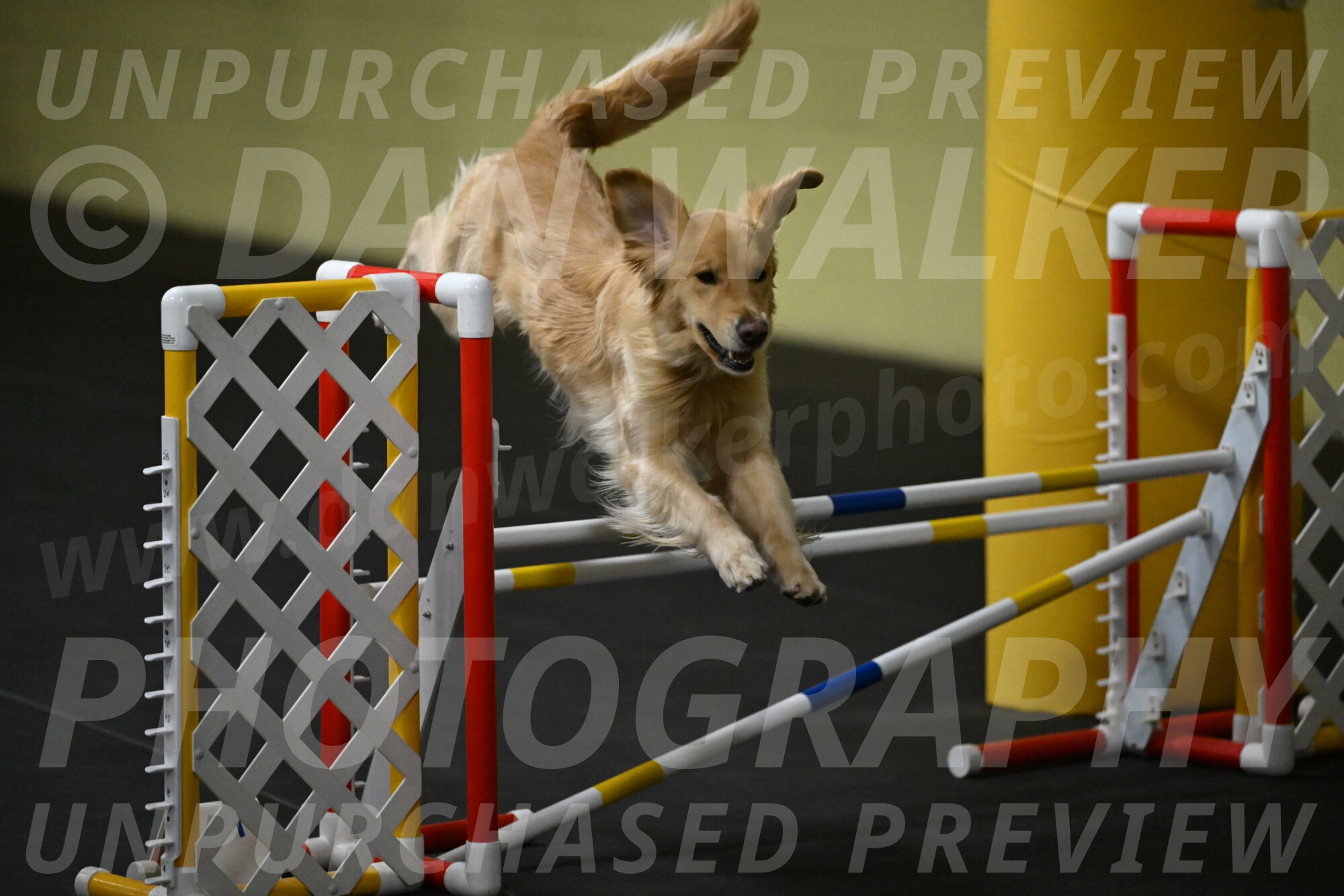 Holli-Likevich-03301