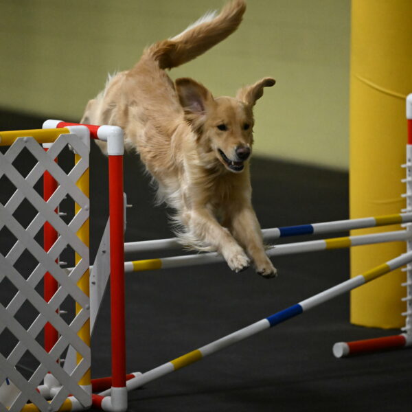 Holli-Likevich-03301