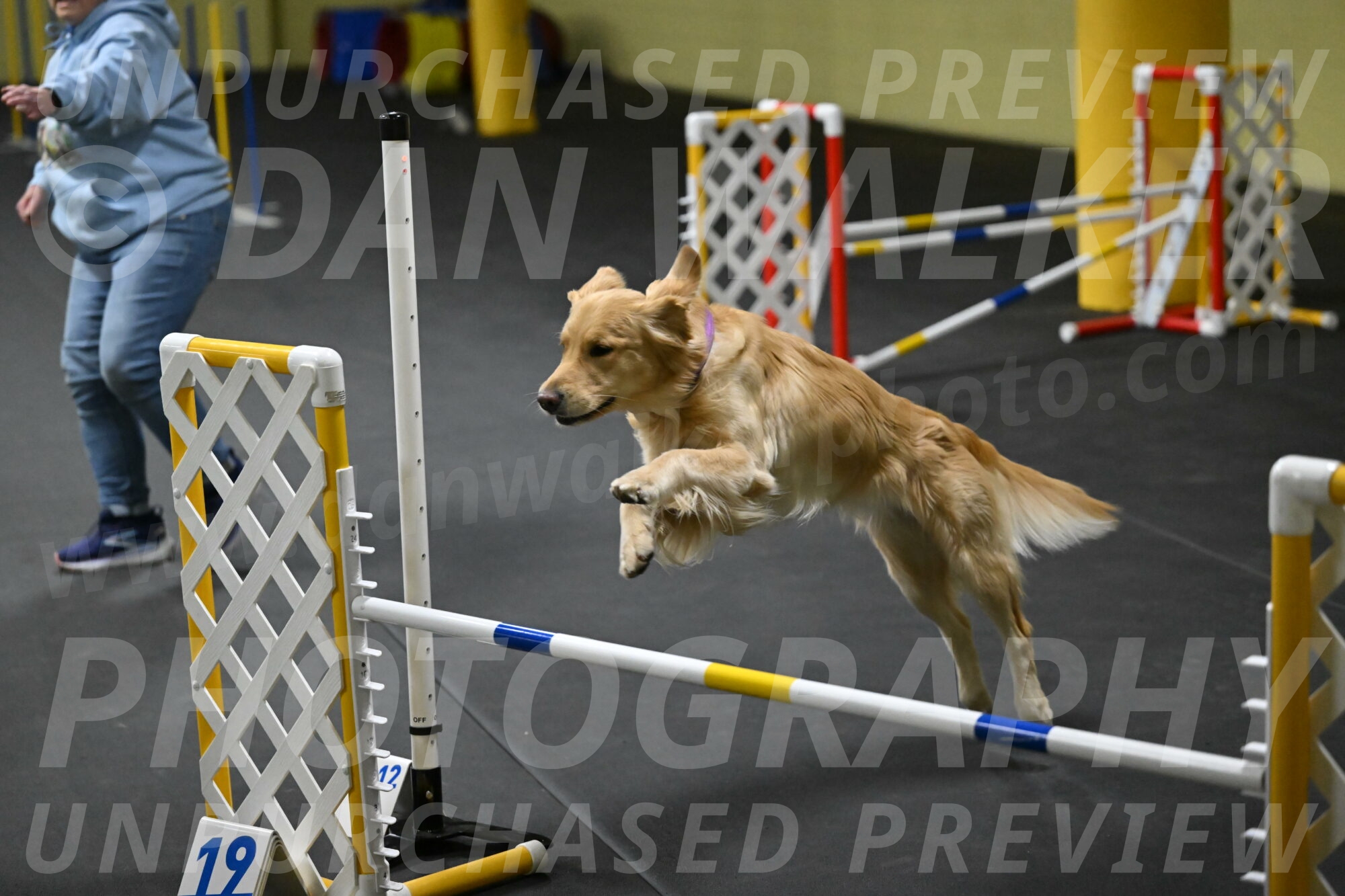 Holli-Likevich-03309