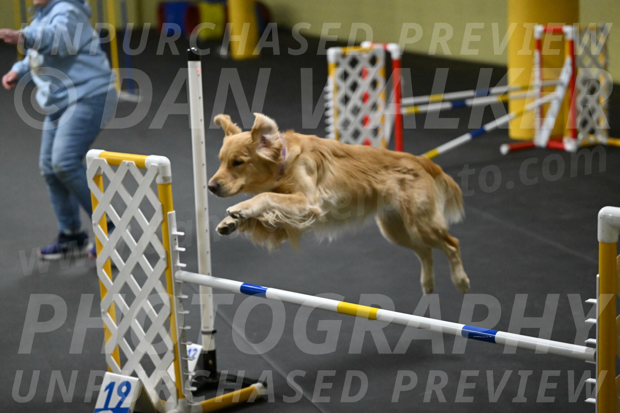 Holli-Likevich-03310