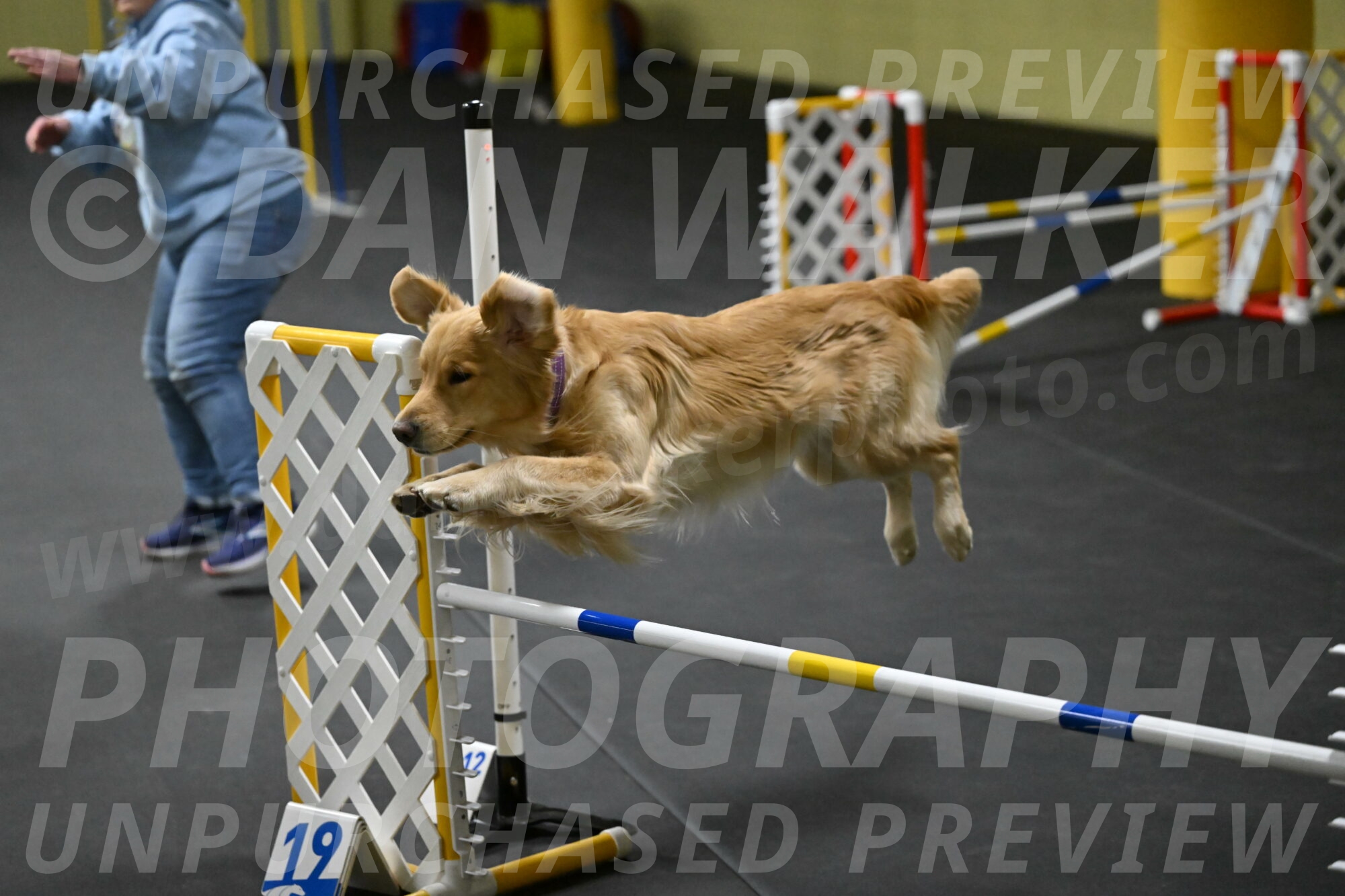 Holli-Likevich-03311