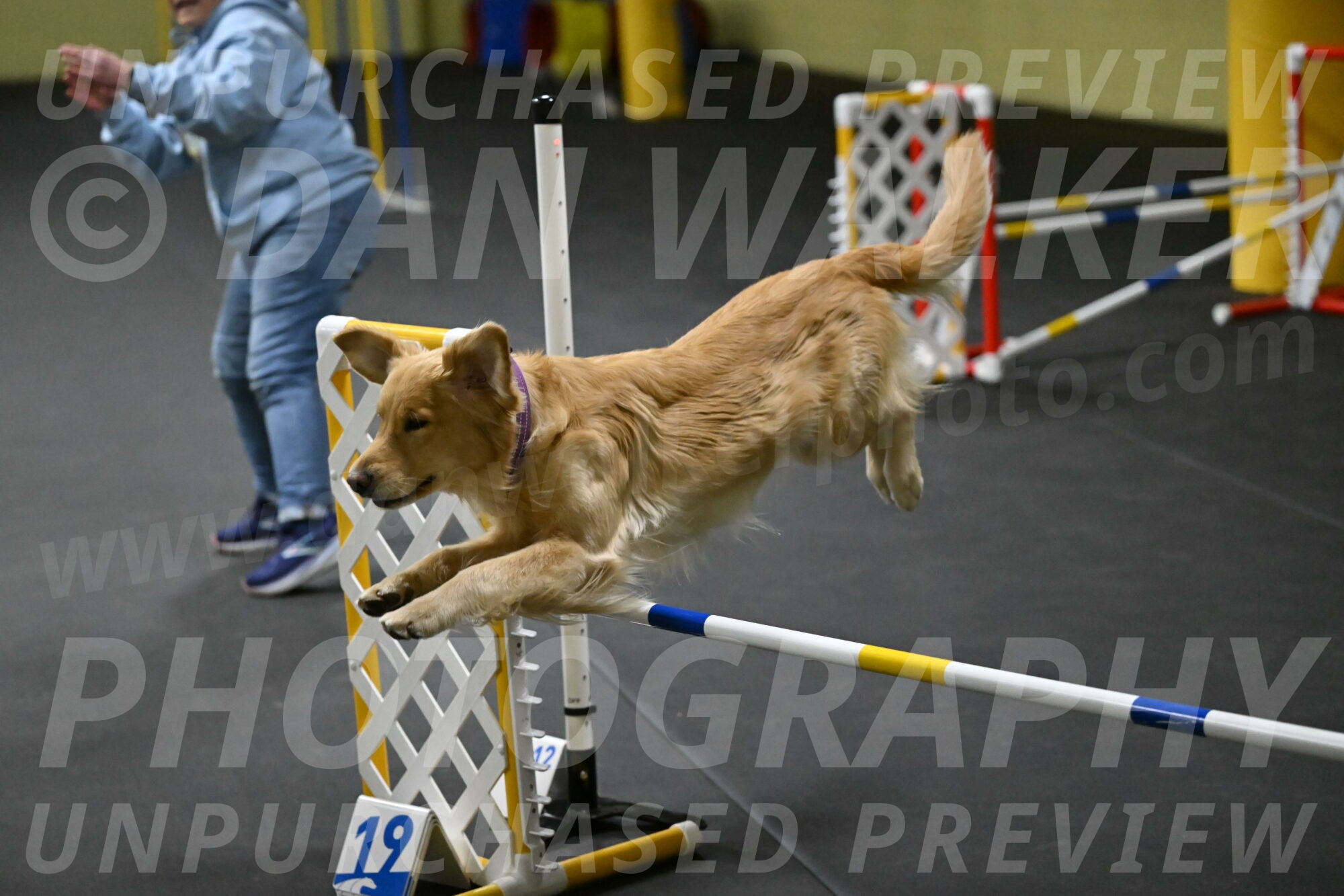 Holli-Likevich-03312