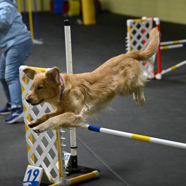 Holli-Likevich-03312