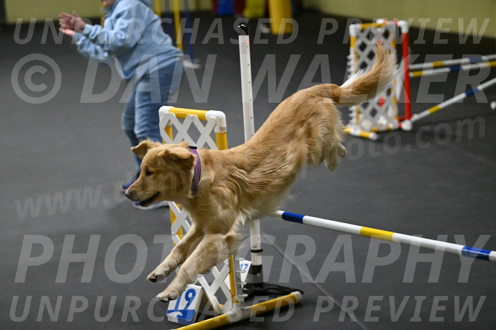 Holli-Likevich-03313