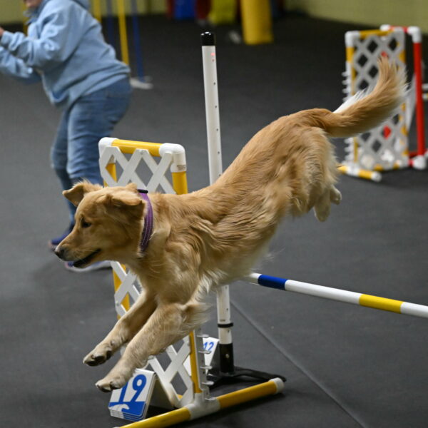 Holli-Likevich-03313