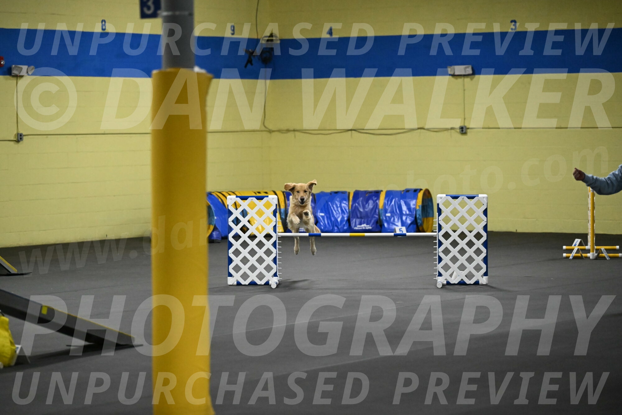 Holli-Likevich-03314