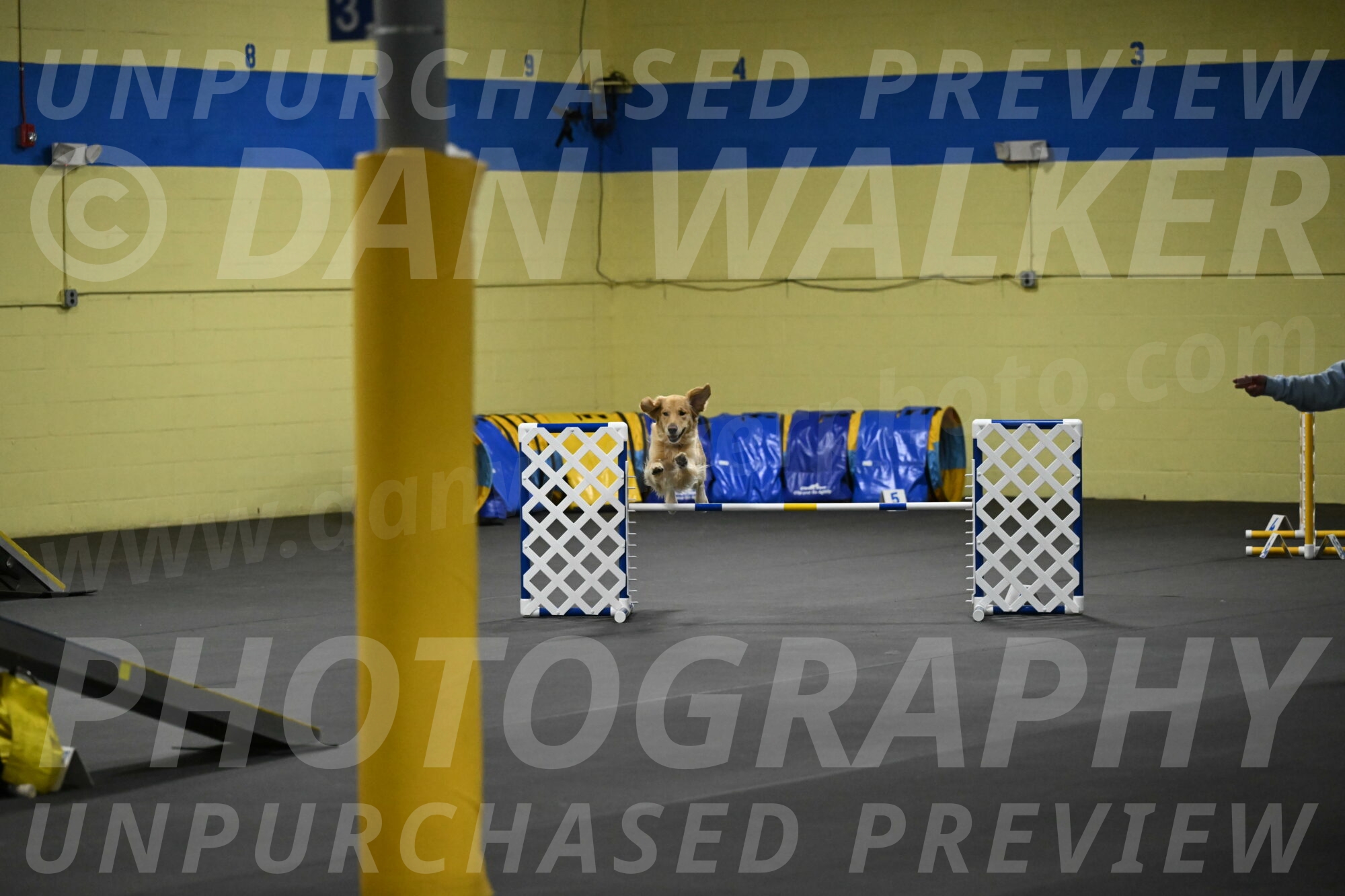 Holli-Likevich-03315